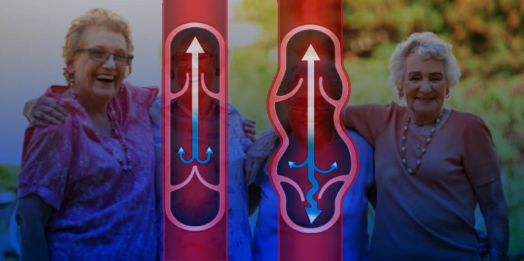 Artery-and-Vein-Health-MD-DC-PA